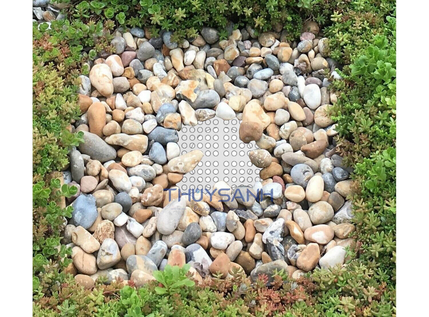 Phễu thu nước bồn cây F61I-DN100 - 2