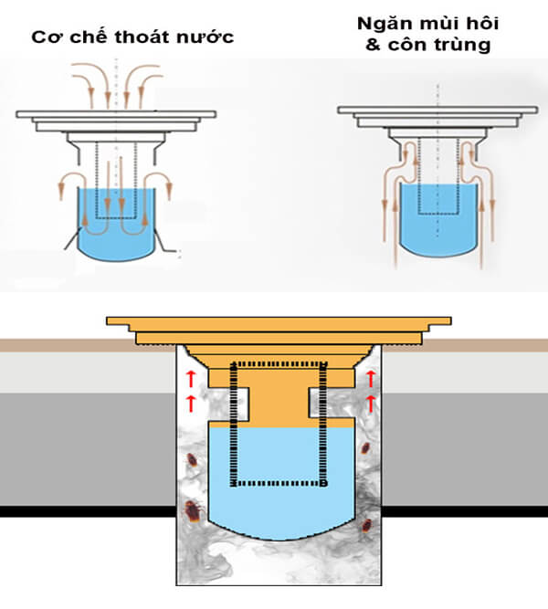Phễu ngăn mùi hôi cống FD01ST-DN50/65 -3