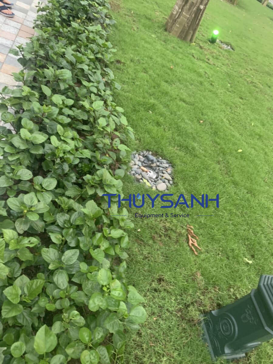 Hình ảnh lắp đặt phễu thu nước sân vườn tại dự án